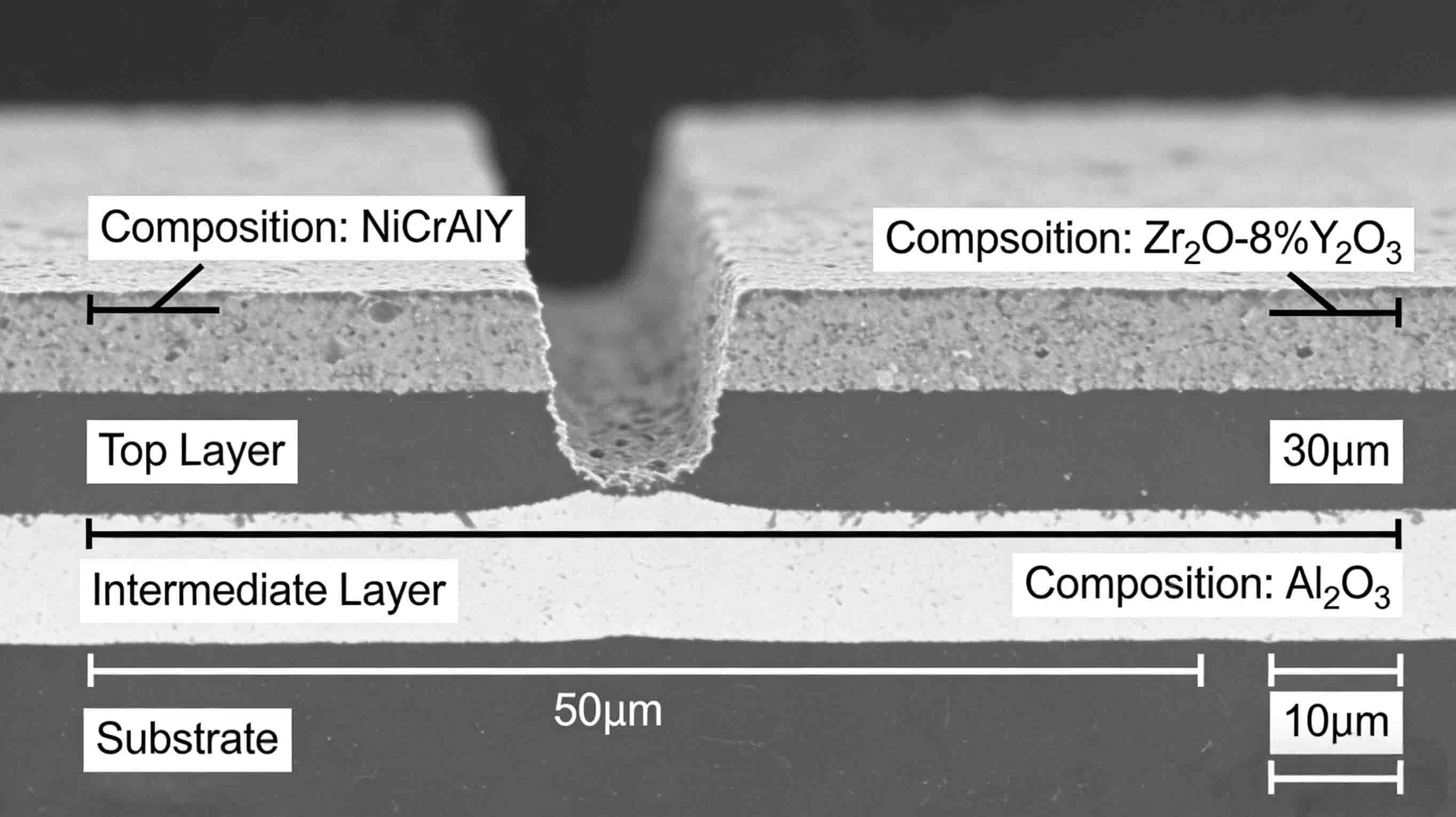 Shear machine blades