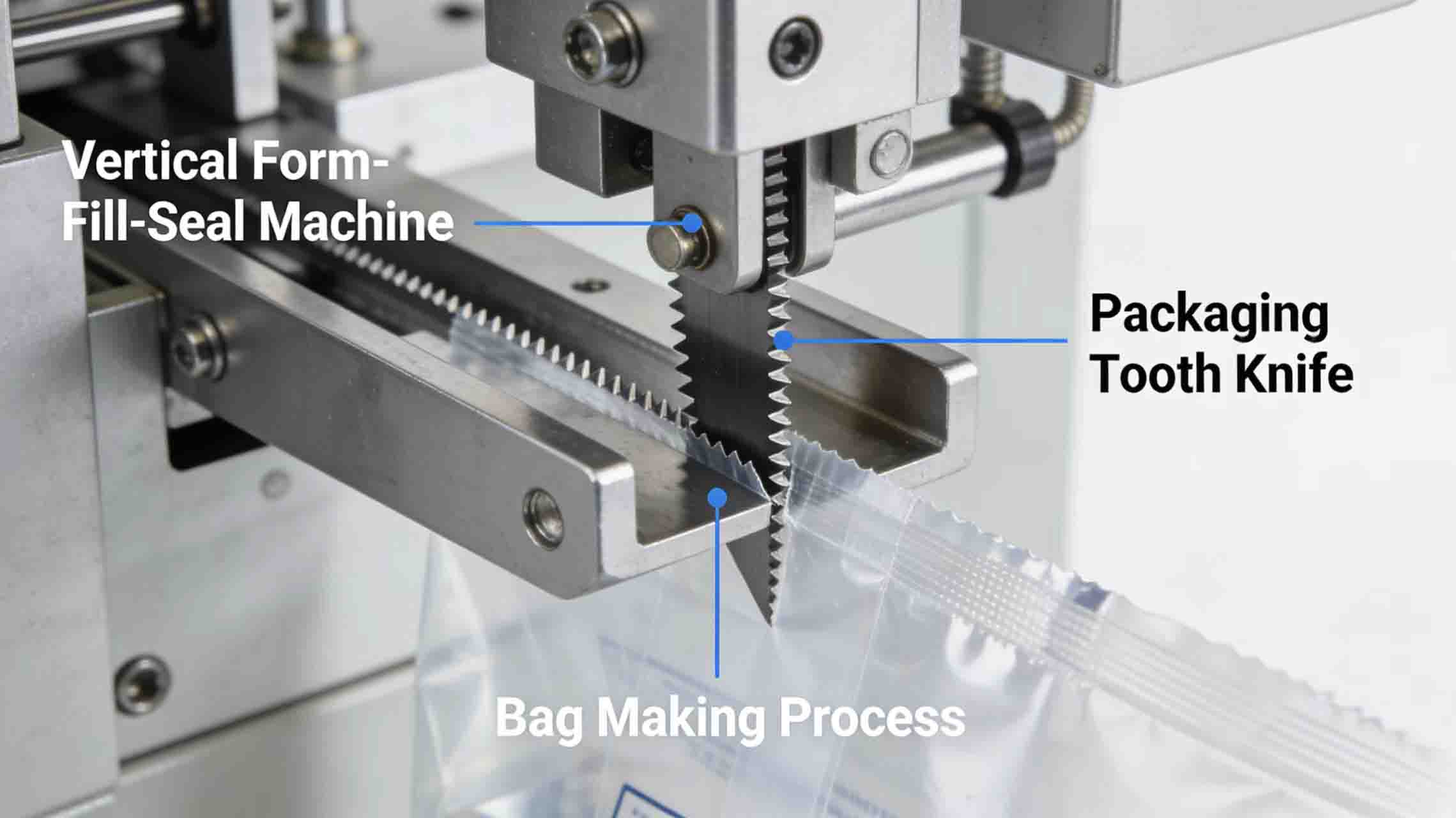 Packaging toothed blades Packaging toothed blades